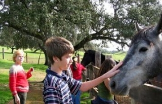 Caballos y niños en Finca Santa María.